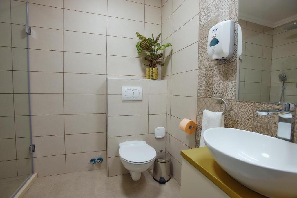 Hotel Imperium Botiz Extérieur photo